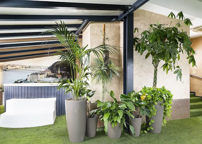 Bo33 Family & Budapest